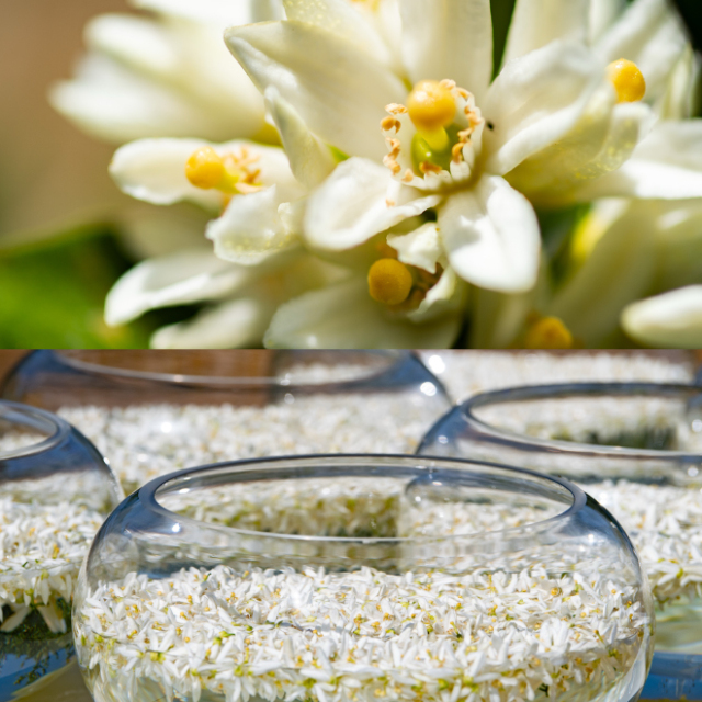 NEROLILA（ネロリラ）フラワークリーム（ネロリブロッサム） 30g