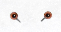ワイヤーグラスアイ　Brown2-3ｍｍ　丸型