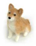 柴犬画像