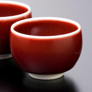 真右ェ門　麦酒杯　辰砂燿変 真右衛門 真右エ門 真右ェ門窯 辰砂 半酒器(木箱付)