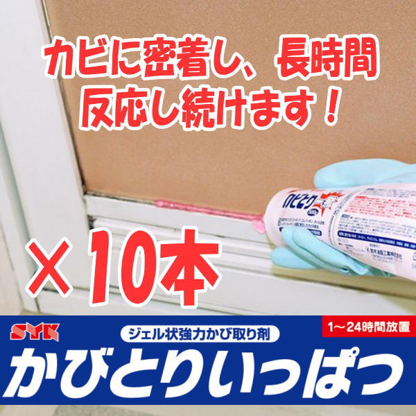 鈴木油脂工業 カビ取り一発