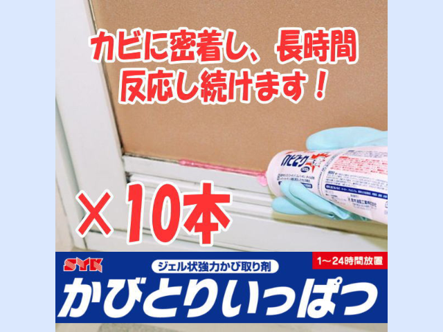 カビとり一発 500g×10本セット｜ 鈴木油脂工業
