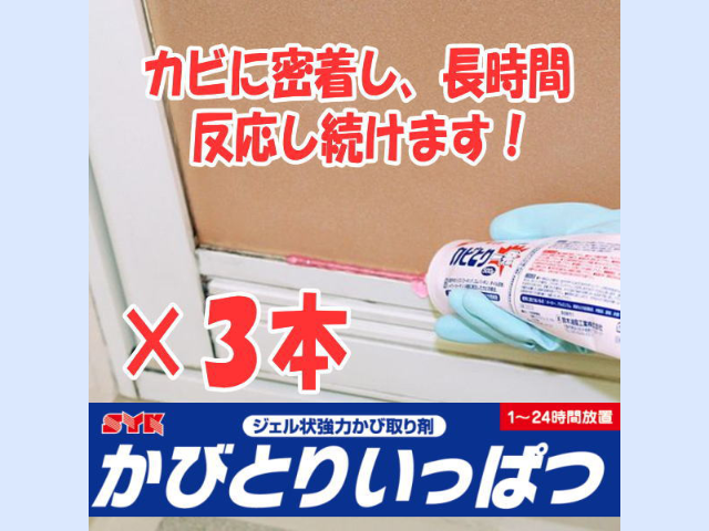 カビとり一発 500g×３本セット / ジェル状強力かび取り剤 プロ仕様カビクリーナー mold remover、 鈴木油脂工業 / 新快適屋