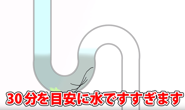 ピーピースカット