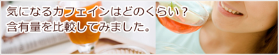カフェイン含有量を比較してみました