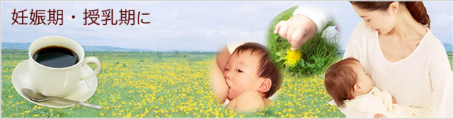 妊娠期・授乳期に