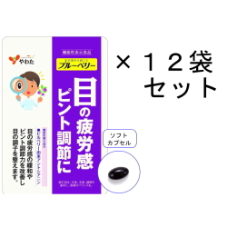 【送料無料】やわた【機能性表示食品】30日分 北の国から届いたブルーベリー×12袋セット