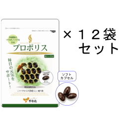 【送料無料】やわた 30日分 プロポリス×12袋セット