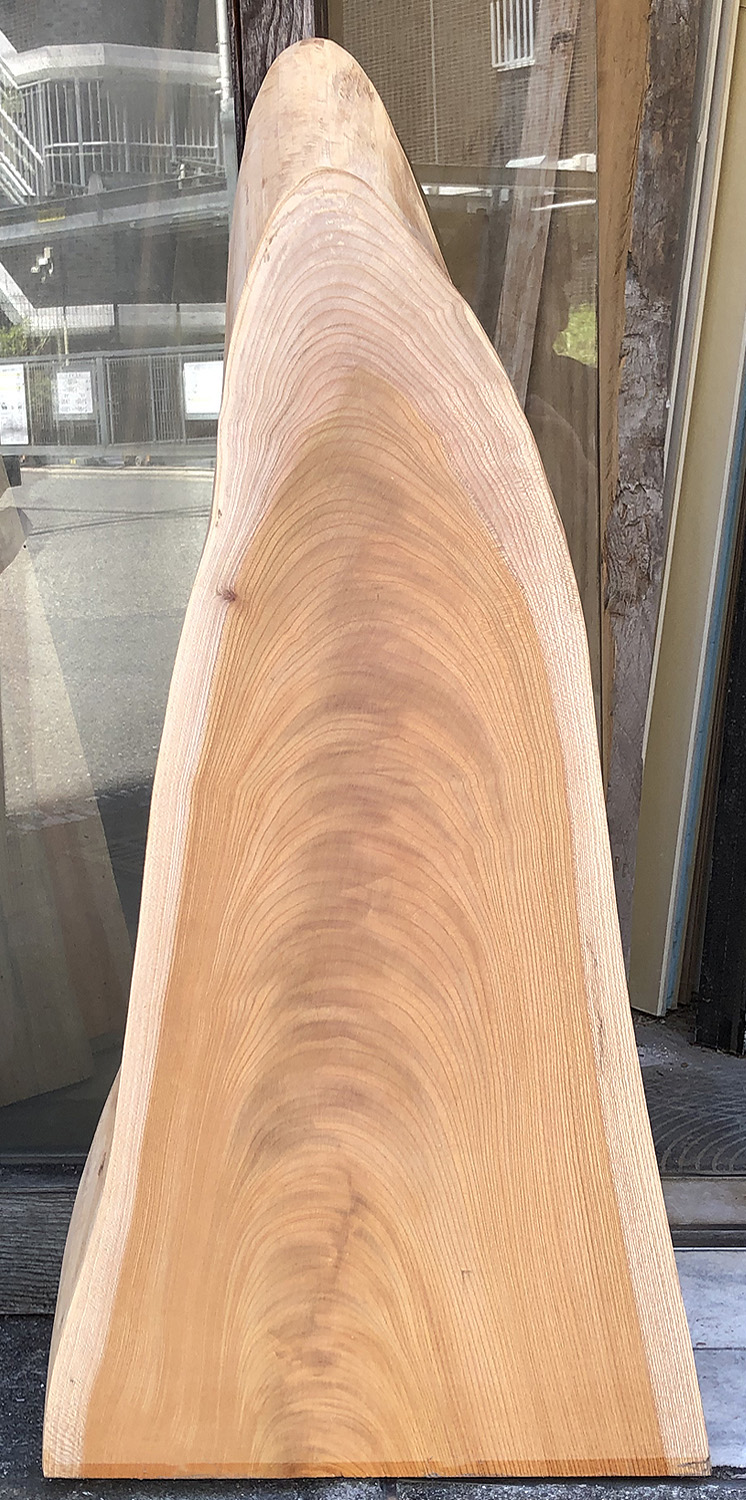 AG-979 欅（けやき）看板材■売却済み