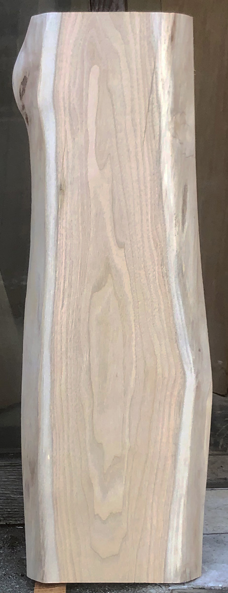 AG-987　胡桃（クルミ）看板材