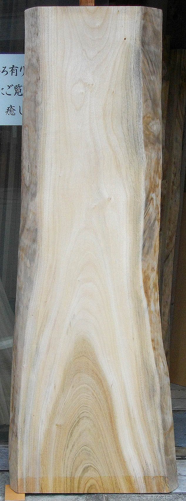 ＡＧ－３８２　楠木（くすのき）看板材