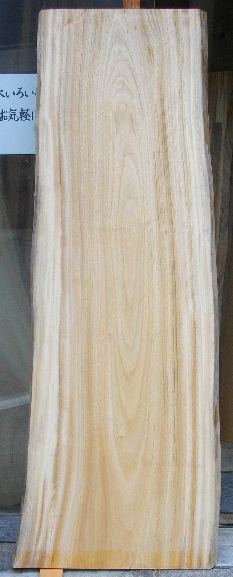 ＡＧ－３８５　楠木（クスノキ）材