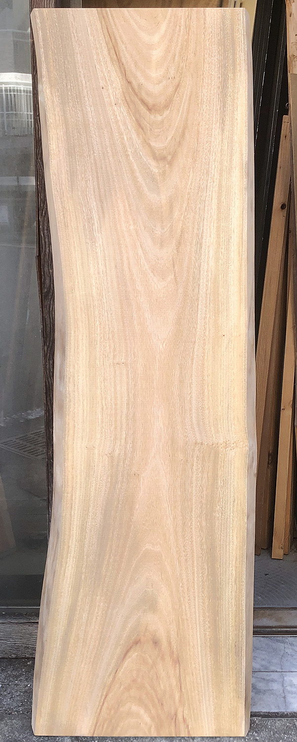 AG-983 クスノキ看板材