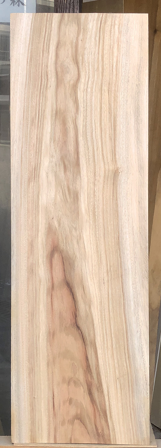 BG-9 クスノキ看板材