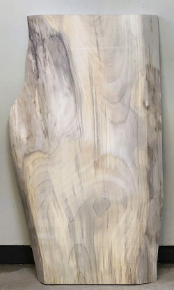 AG-906　朴（ホウ）看板材■売却済み