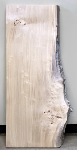 AG-907 　ポプラ看板材■売却済み