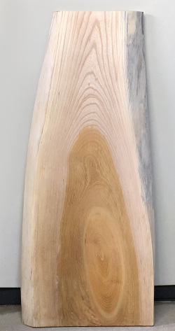 AG909 ケヤキ看板材■売却済み