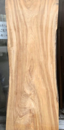 AG-954 クスノキ看板材■売却済み