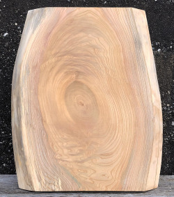 AG-967 ケヤキ看板材■売却済み