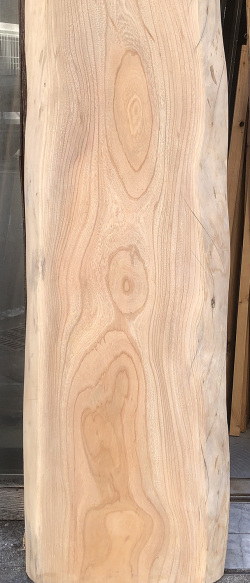 AG-984 ケヤキ看板材