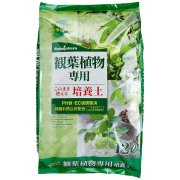 観葉植物専用培養土　12L