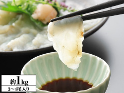 830：【刺身用】北海道産 天然真ふぐ身欠 約1kg(3～4尾入り)