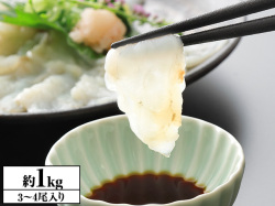 830：【刺身用】北海道産 天然真ふぐ身欠 約1kg(3～4尾入り)
