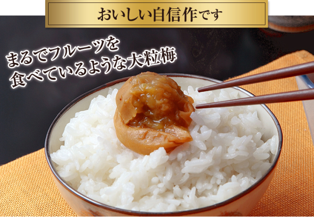 最終間近！大粒！紀州南高梅5キロ 完熟南高梅 キズあり（自然落下）4Lサイズ 5kg｜梅干し用梅の