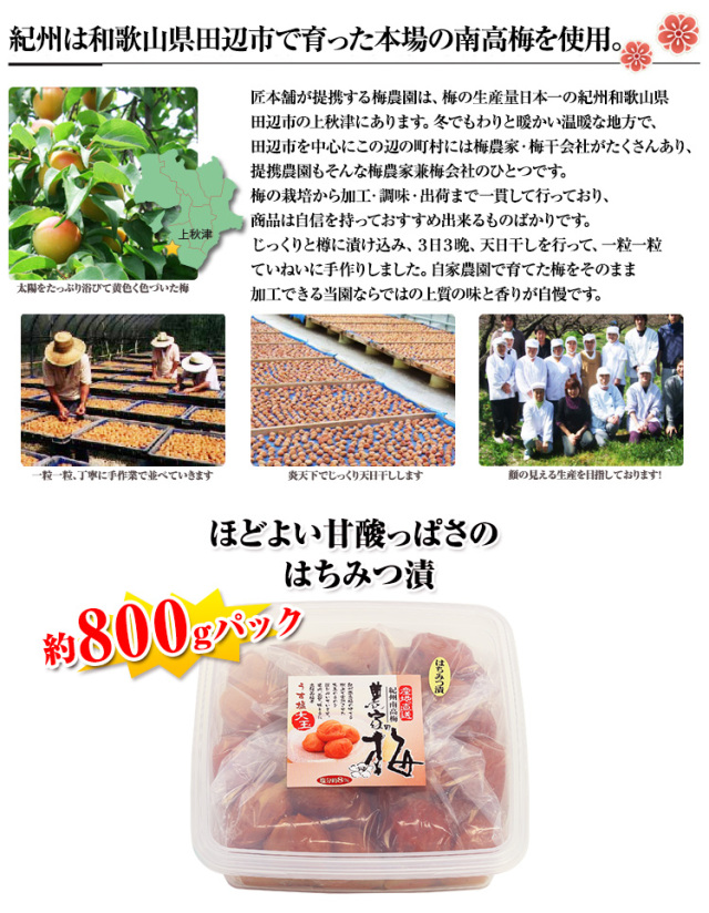 430：紀州南高梅「3L大粒はちみつ漬」約800g