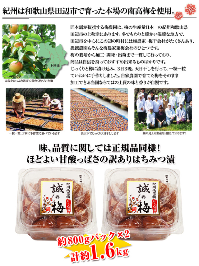436：訳あり紀州南高梅「誠の梅はちみつ漬」約1.6kg
