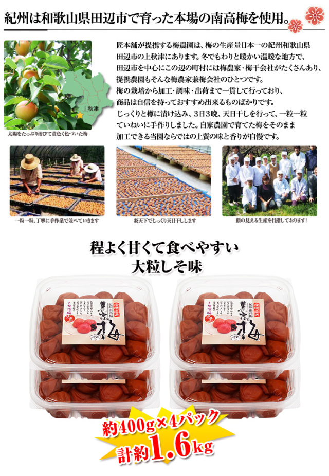434：紀州南高梅「3L大粒まろやかしそ味」約1.6kg