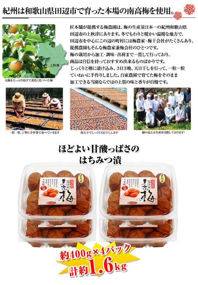 431：紀州南高梅「3L大粒はちみつ漬」約1.6kg