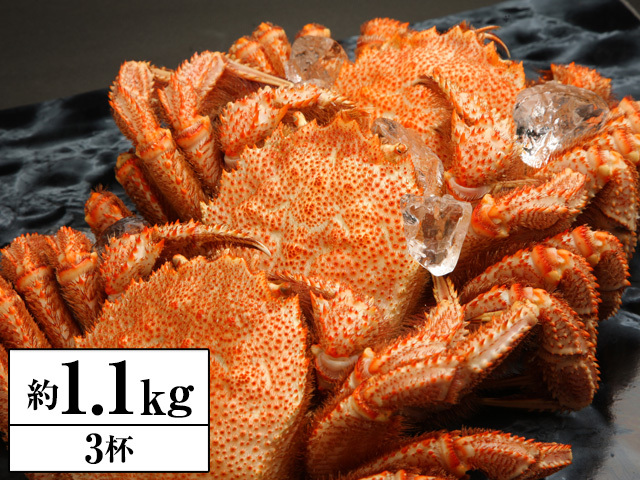 北海道産　冷凍ゆで毛ガニ1キロ×3 浜ゆで】北海道産 冷凍ボイル毛ガニ (1尾620g～660g前後) 3尾