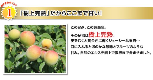 433：紀州南高梅「3L大粒まろやかしそ味」約800g