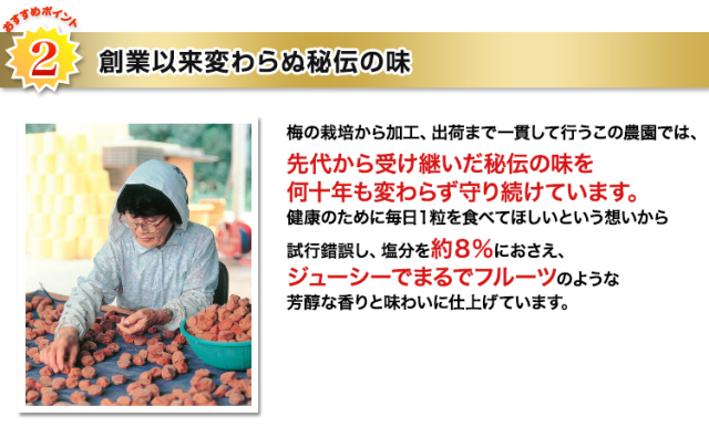 信州産梅　10kg　　（ご希望の重さでも購入可能です。） 435：紀州南高梅2種セット約1.6kg