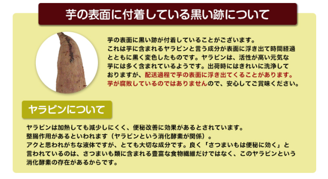 サツマイモ事典 | いも類振興会 |本 | 通販 | Amazon