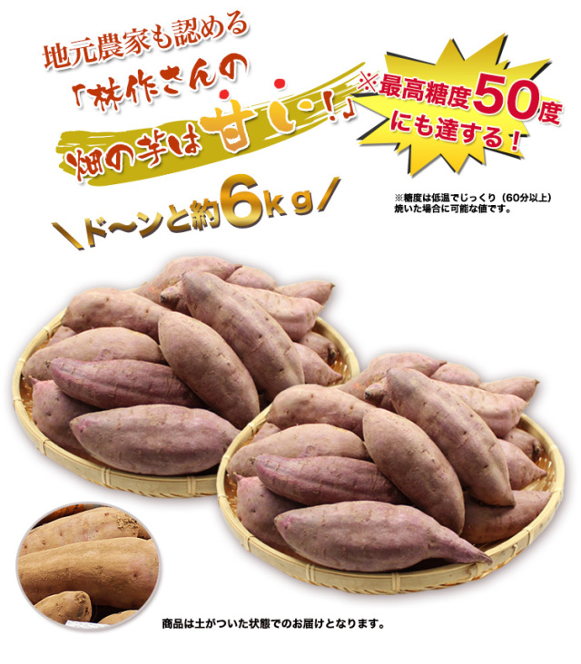 新芋　サツマイモ　おすすめ　芋　29 まるで神様からの贈り物」紅芋の新品種、甘～い奇跡 本部町の畑