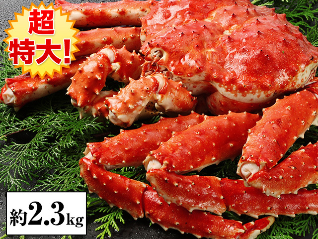 蟹、イバラガニ3.5キロ前後浜茹で姿！！４人前から５人前 希少入荷！イバラガニ姿 安心の北海道網走前浜産 数量限定