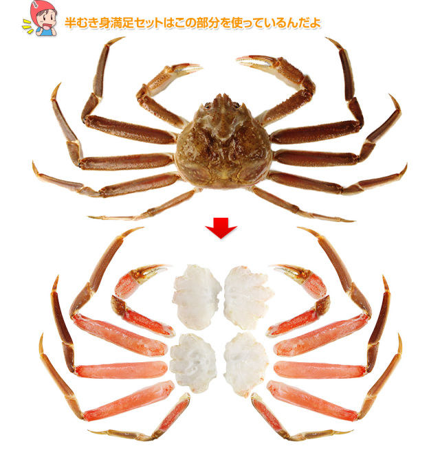 カニさんさま専用 629：特大7L～5L生ずわい蟹半むき身満足セット 2kg超（総