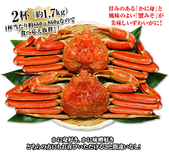 492：北海道紋別浜茹で ずわいがに姿 2杯（約1.7kg）