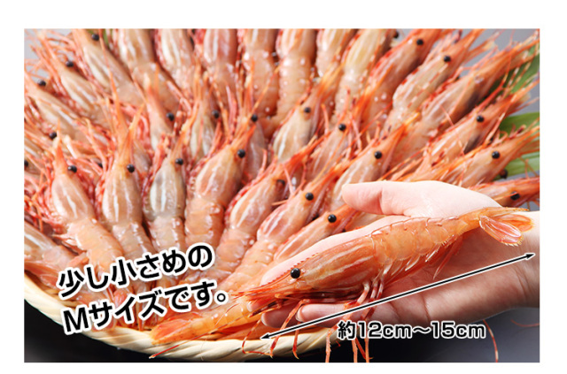 えび様用 510：海老の王様 刺身用ボタン海老約1kg（約30～40尾）