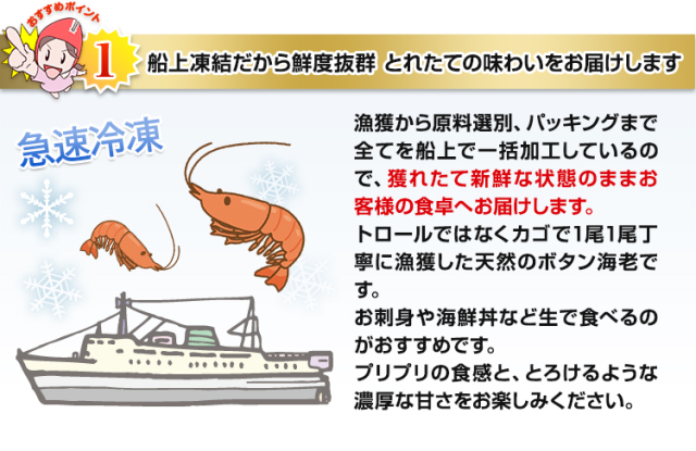 510：海老の王様 刺身用ボタン海老約1kg（約30～40尾）