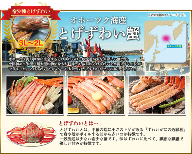 523：【かにしゃぶ用】3L～2L生とげずわい脚肉むき身32～36本