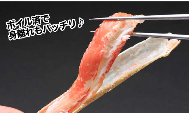 525:2Lボイルずわい肩脚20~26肩(総重量約5kg) 525_thum_03.jpg