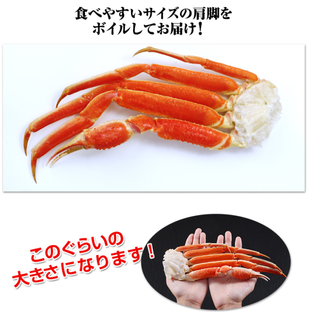 525:2Lボイルずわい肩脚20~26肩(総重量約5kg) 525_thum_04.jpg