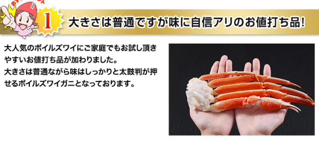 525:2Lボイルずわい肩脚20~26肩(総重量約5kg) 525_thum_07.jpg