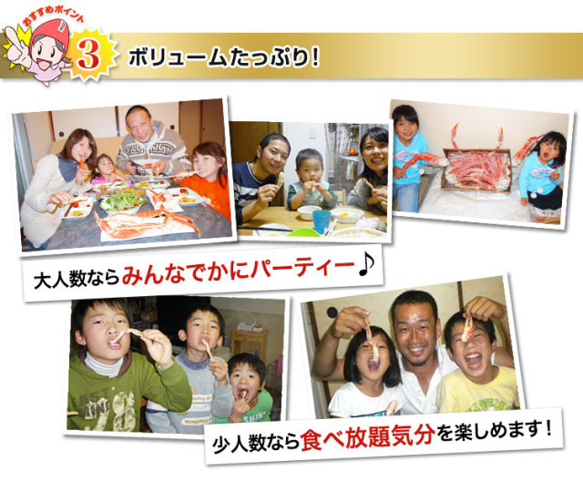 525:2Lボイルずわい肩脚20~26肩(総重量約5kg) 525_thum_09.jpg