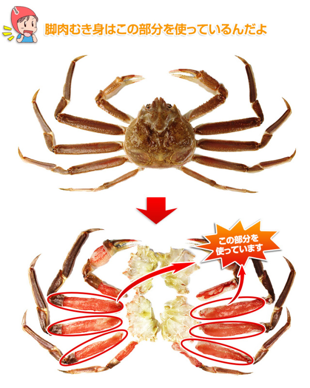 535:【かにしゃぶ用】超特大10L~7L生ずわい脚肉むき身18~28本(約1kg) 535_thum_03.jpg