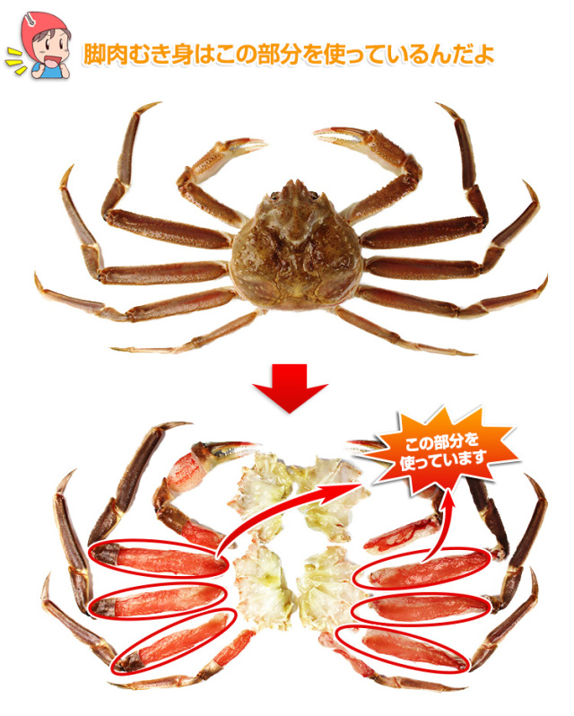 647:【刺身用】超特大10L~7L生ずわい脚肉むき身18本~28本(約1kg)×2箱 538_thum_03.jpg
