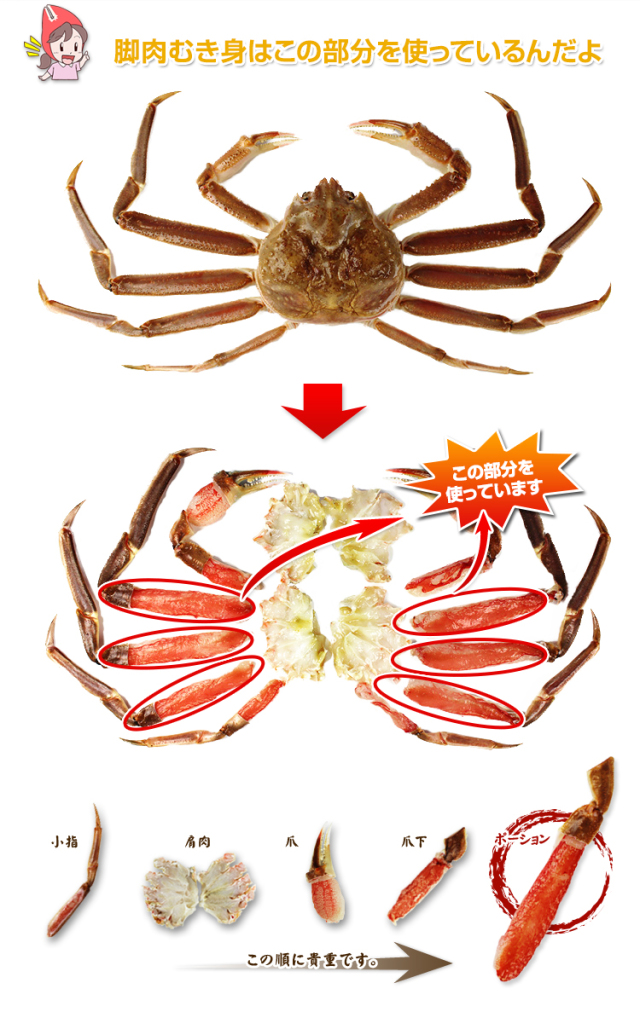 540:【刺身用】2L~L生ずわい脚肉むき身42~60本(約1kg) 540_thum_04.jpg